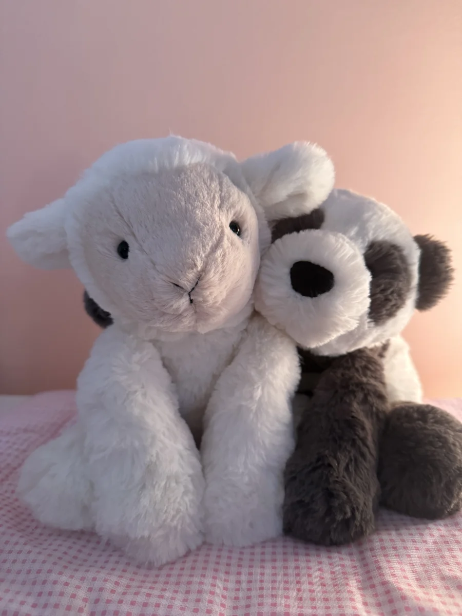 Front - Smudge Lamb photo by catycake