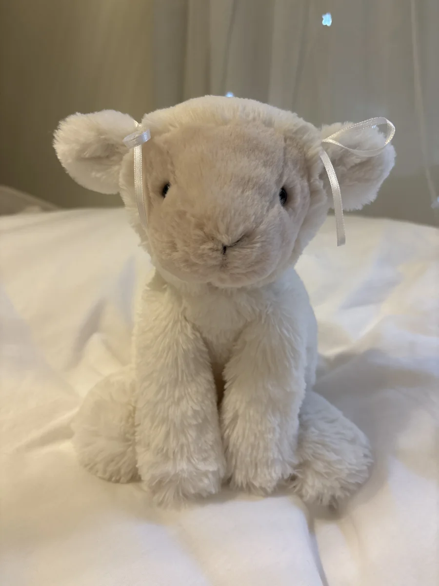 Front - Smudge Lamb photo by saigesjellies