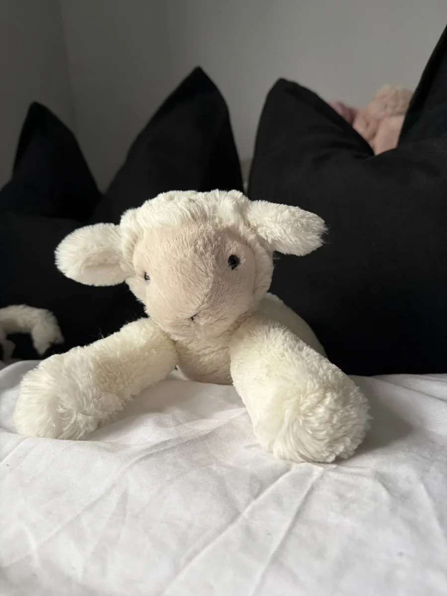 Front - Smudge Lamb photo by faithmhx