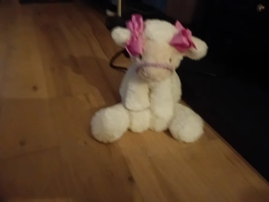 Front - Smudge Lamb photo by MiaD123