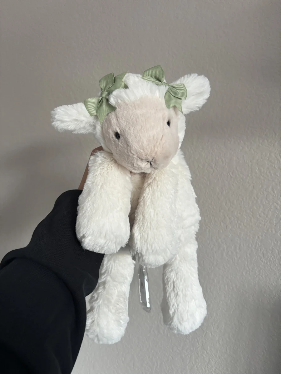Front - Smudge Lamb photo by jelly20