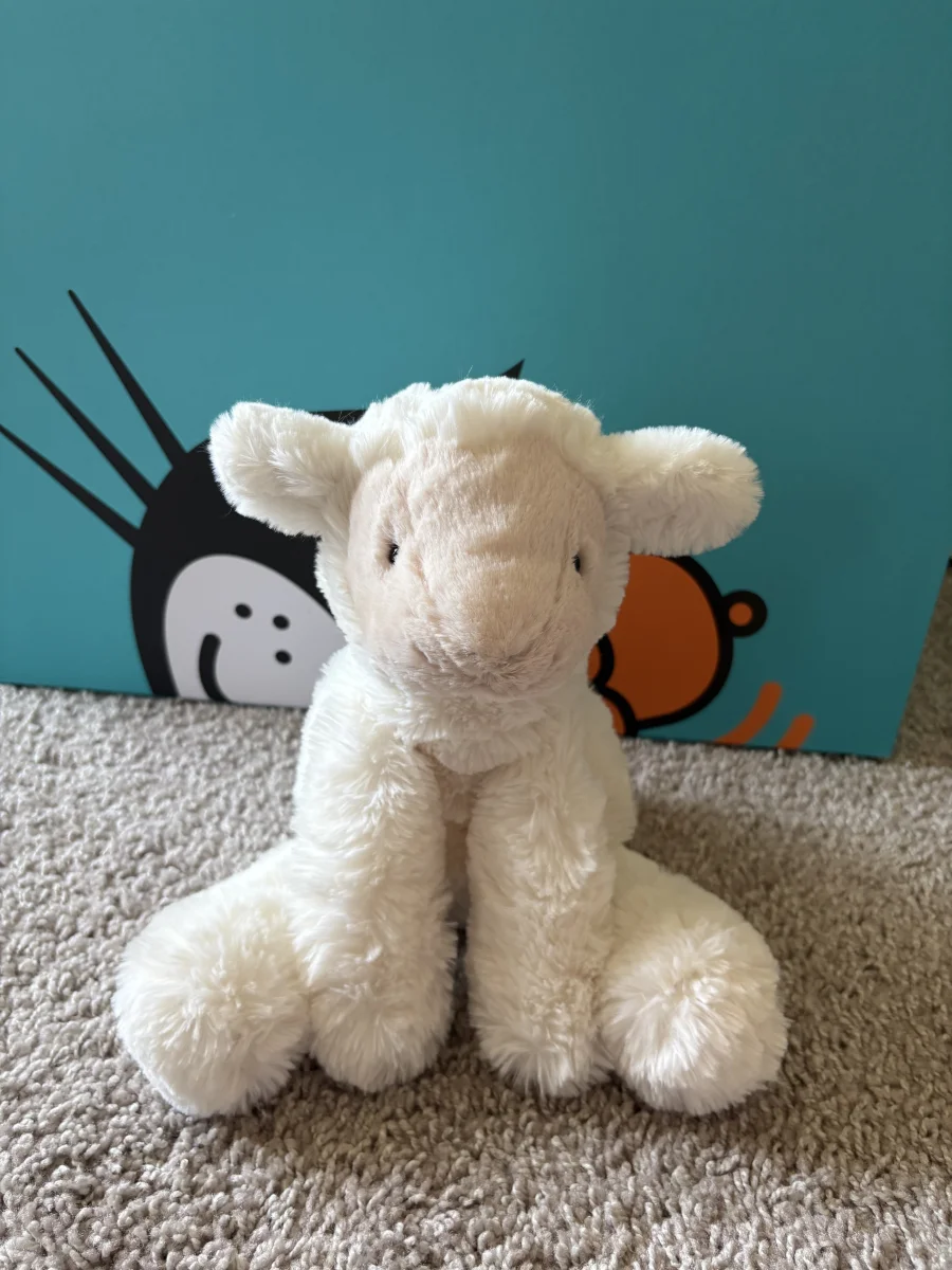 Front - Smudge Lamb photo by jojokitty