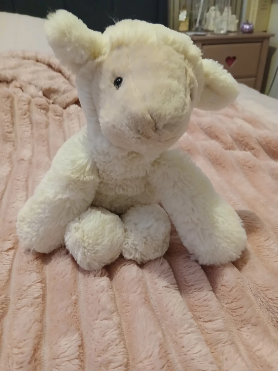 Front - Smudge Lamb photo by Ameliaj2015