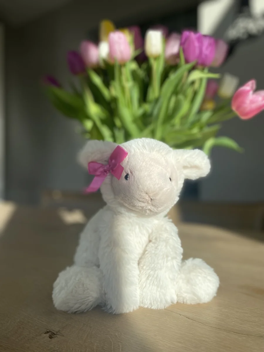 Front - Smudge Lamb photo by Fienjellyfriends
