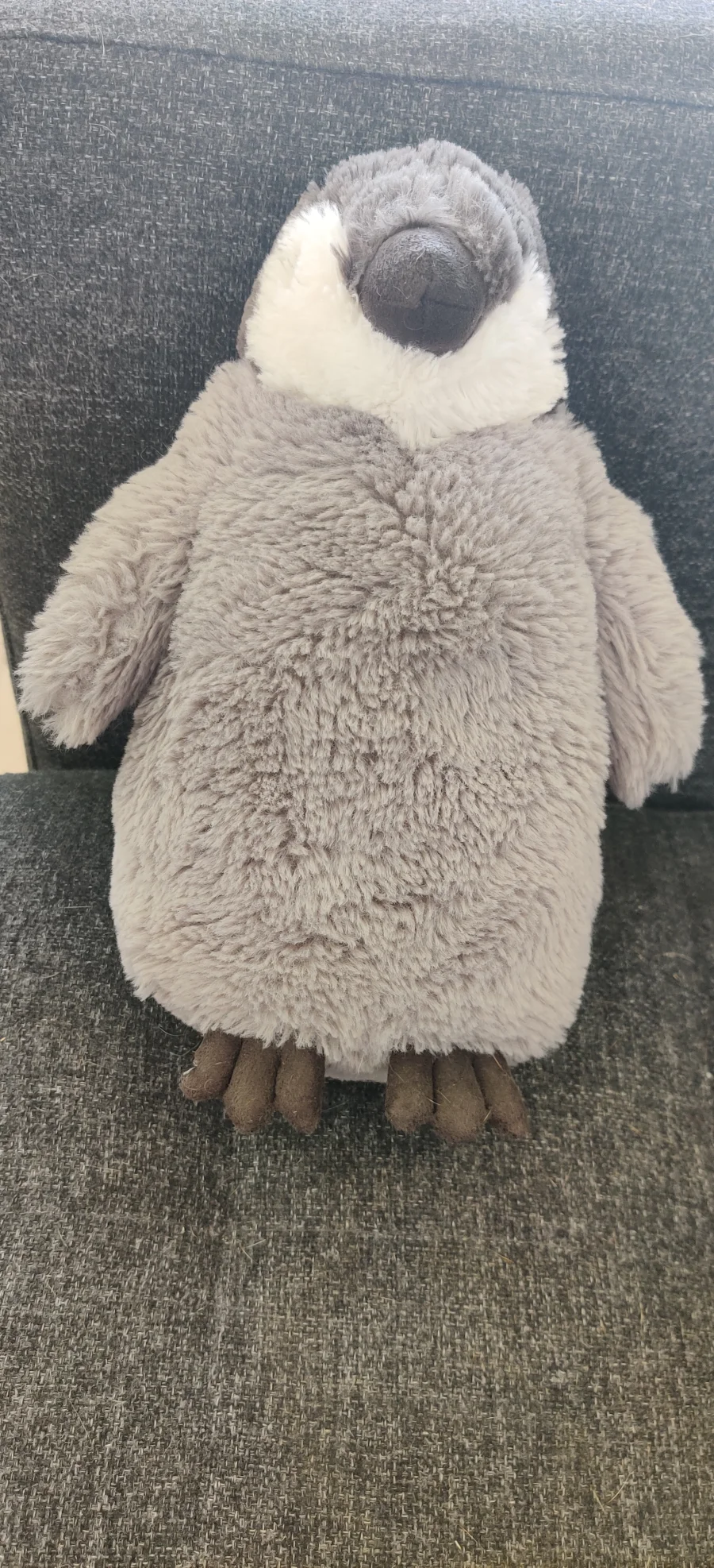 Side - Percy Penguin - Large photo by Sakura7981