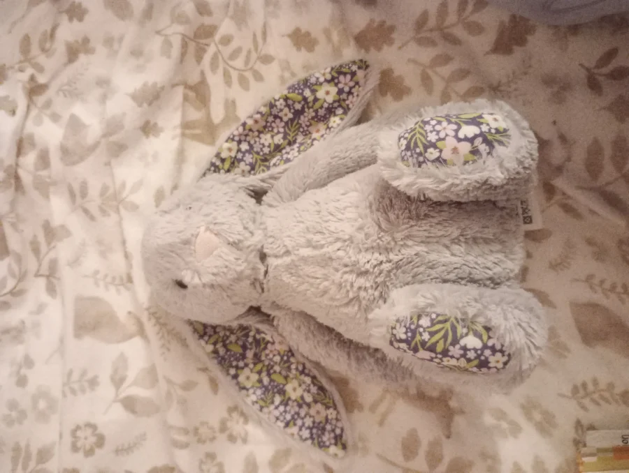 Front - Blossom Silver Bunny 'Bloom' - Medium photo by princessfudge24