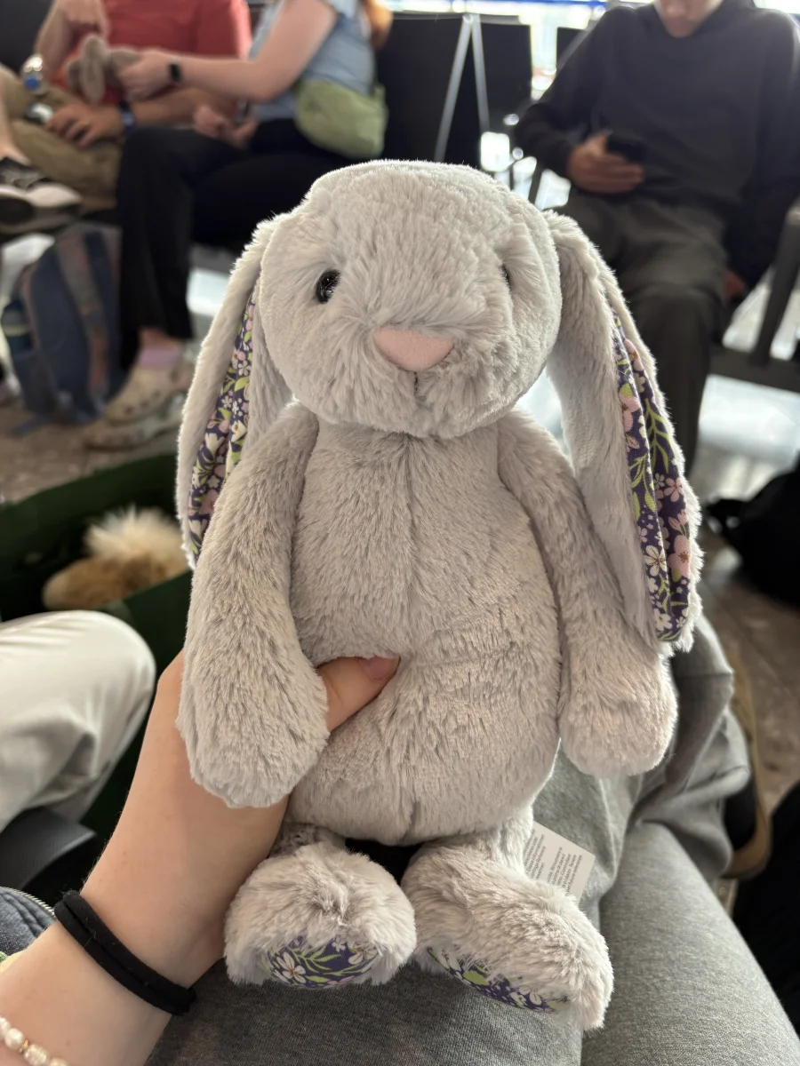 Front - Blossom Silver Bunny 'Bloom' - Medium photo by Ehayden08