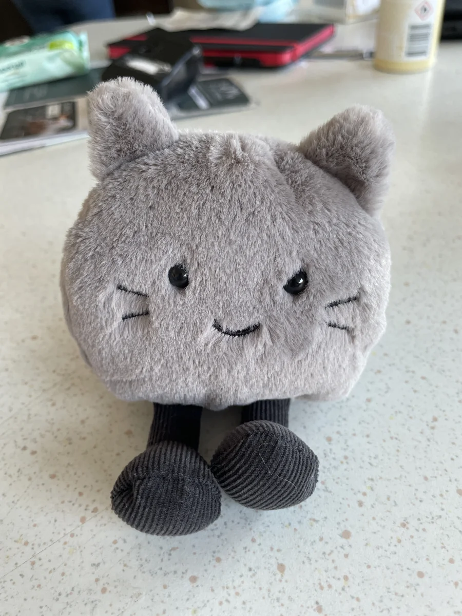 Front - Amuseabean Kitty photo by Maisie_Moo2021