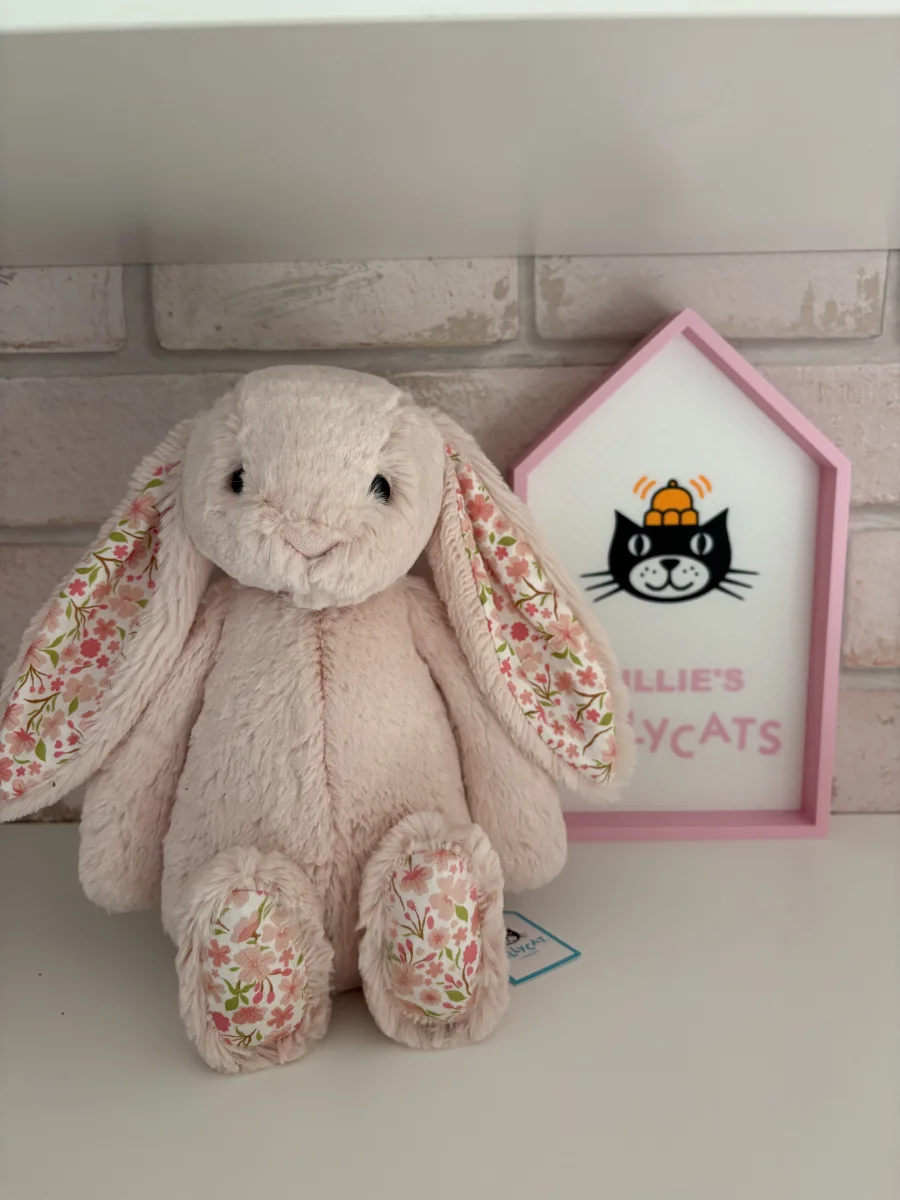Front - Blossom Blush Bunny 'Cherry' - Medium photo by Milliebailey
