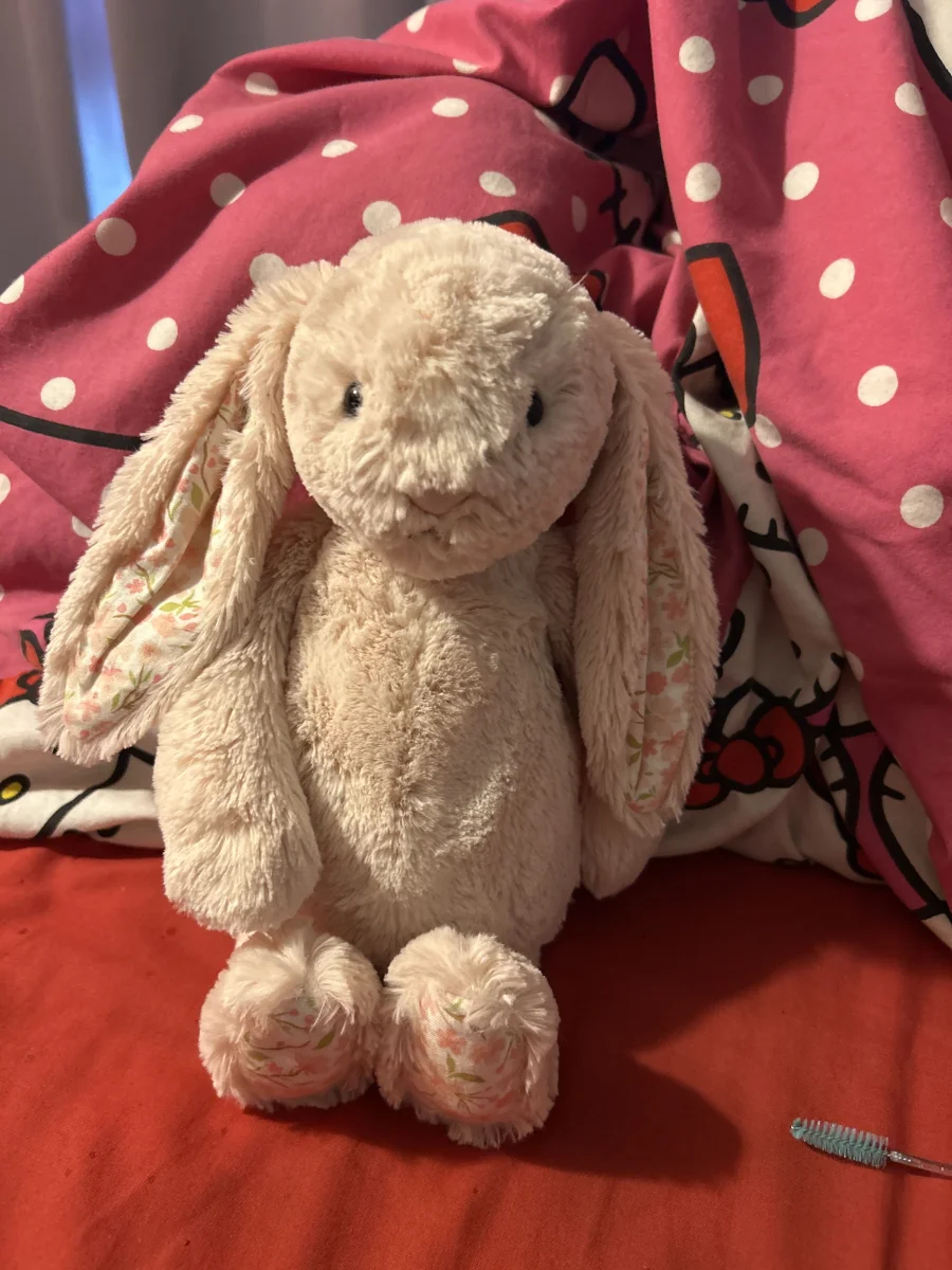 Front - Blossom Blush Bunny 'Cherry' - Medium photo by Avahasduck