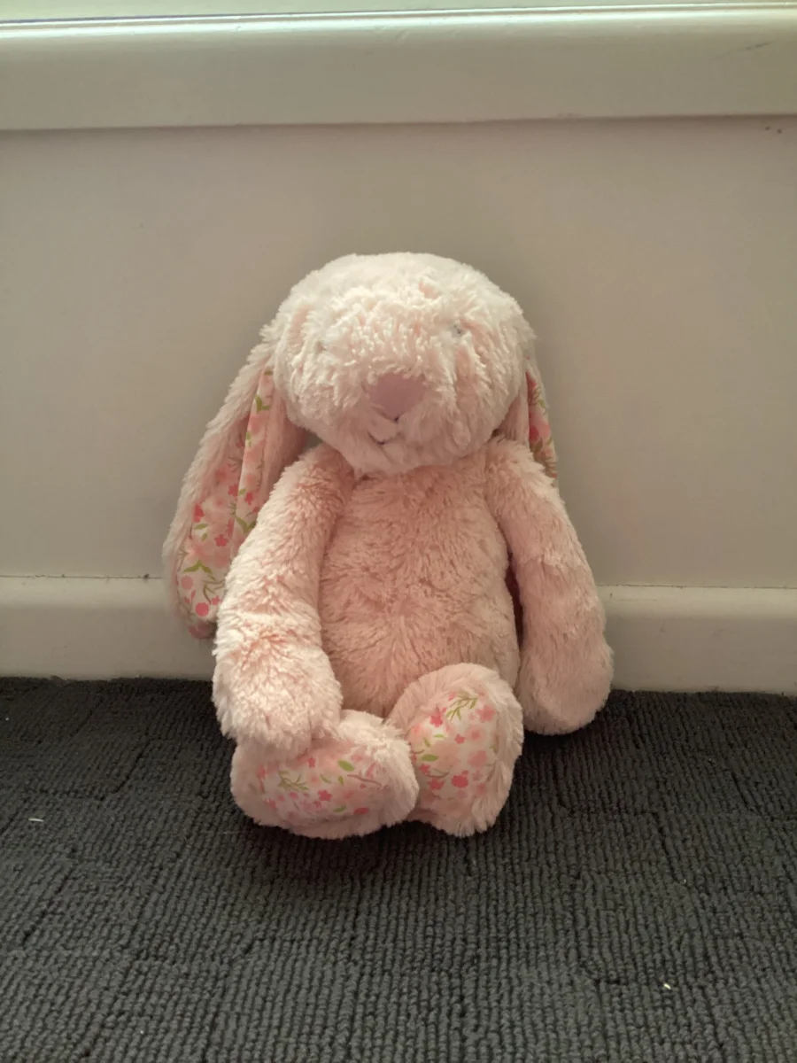 Front - Blossom Blush Bunny 'Cherry' - Medium photo by Lacey67