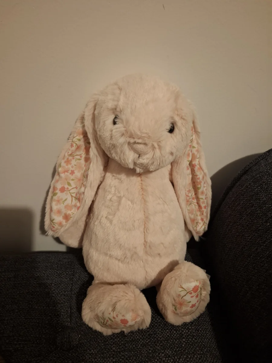 Front - Blossom Blush Bunny 'Cherry' - Medium photo by bsyvee