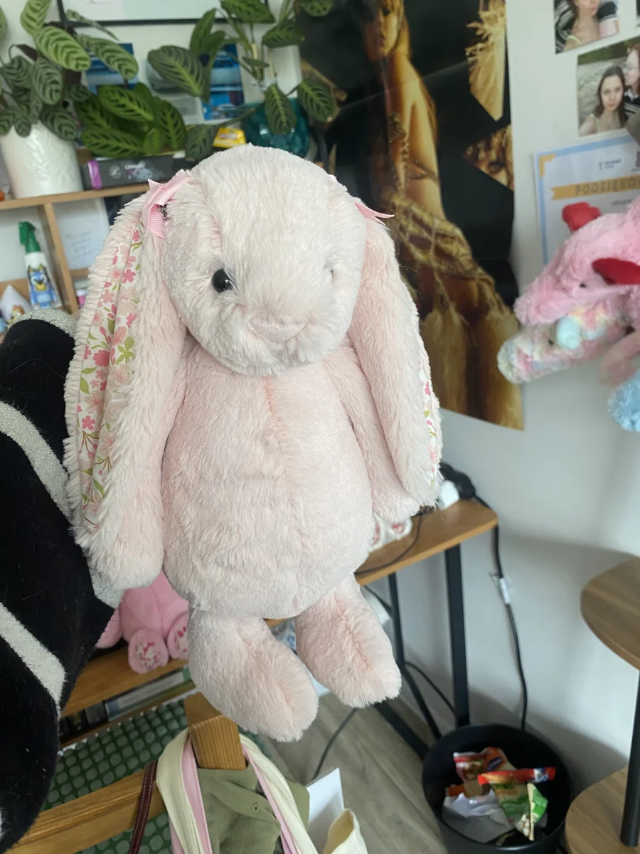 Front - Blossom Blush Bunny 'Cherry' - Medium photo by shoshanayael