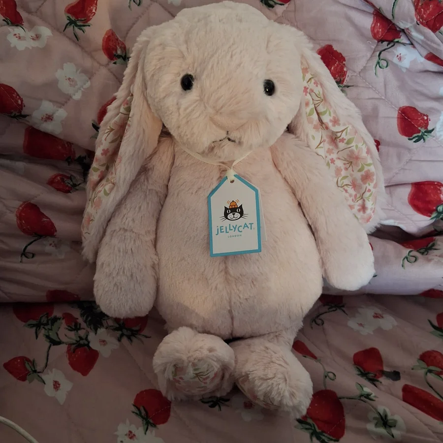 Front - Blossom Blush Bunny 'Cherry' - Medium photo by Branz_jellies