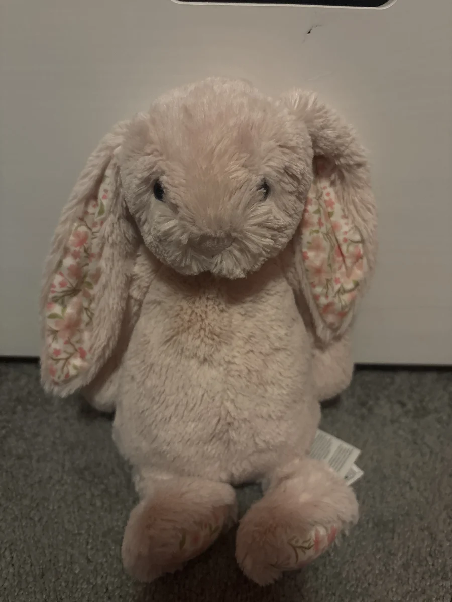 Front - Blossom Blush Bunny 'Cherry' - Medium photo by darcyy12