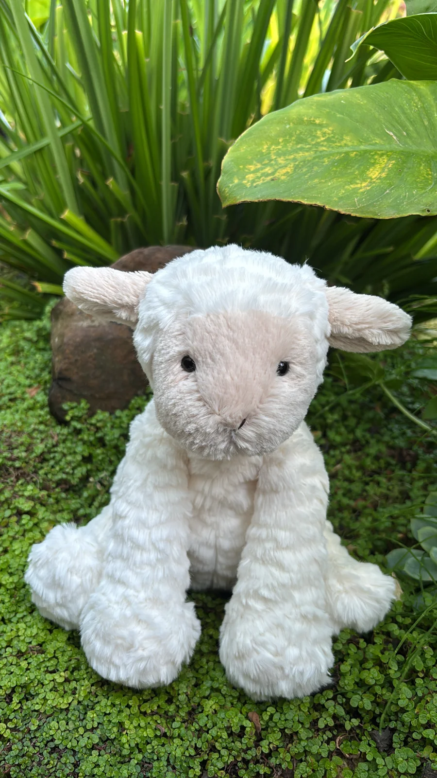Front - Fuddlewuddle Lamb photo by Jelly_Journey