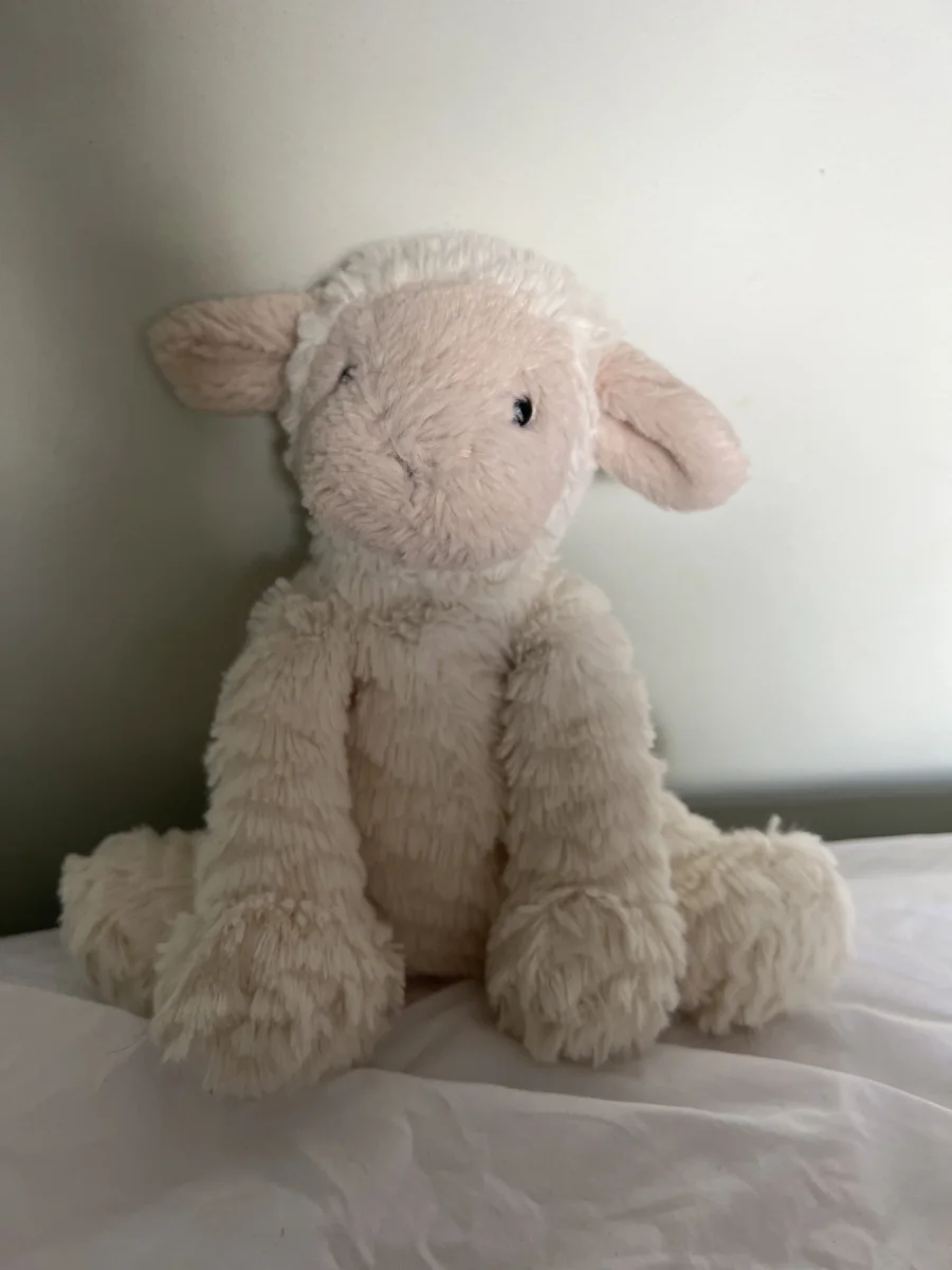 Front - Fuddlewuddle Lamb photo by jellycat1235