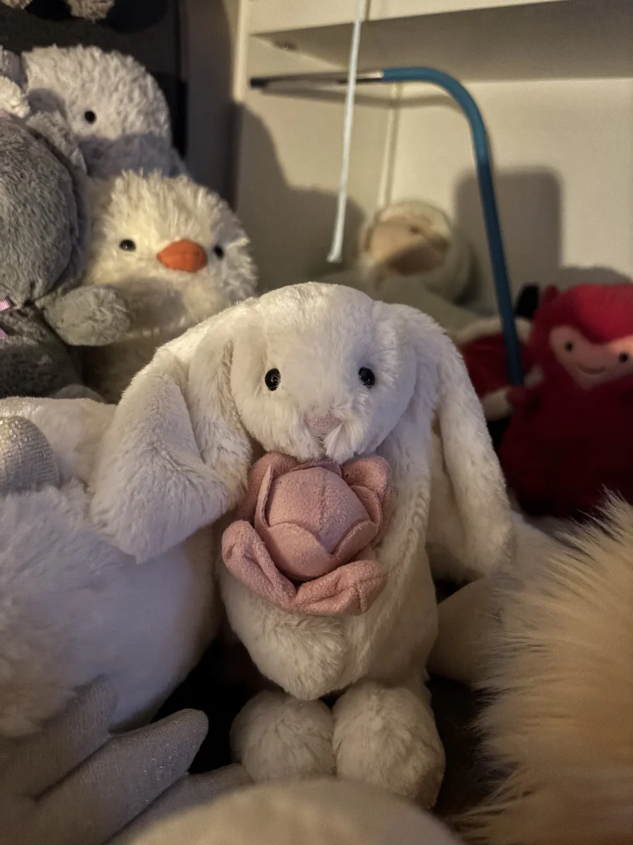 Front - Bashful Bunny 'Peony' photo by monki123