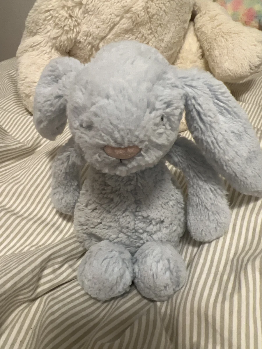 Front - Bashful Blue Bunny - Medium photo by Jellycatme123