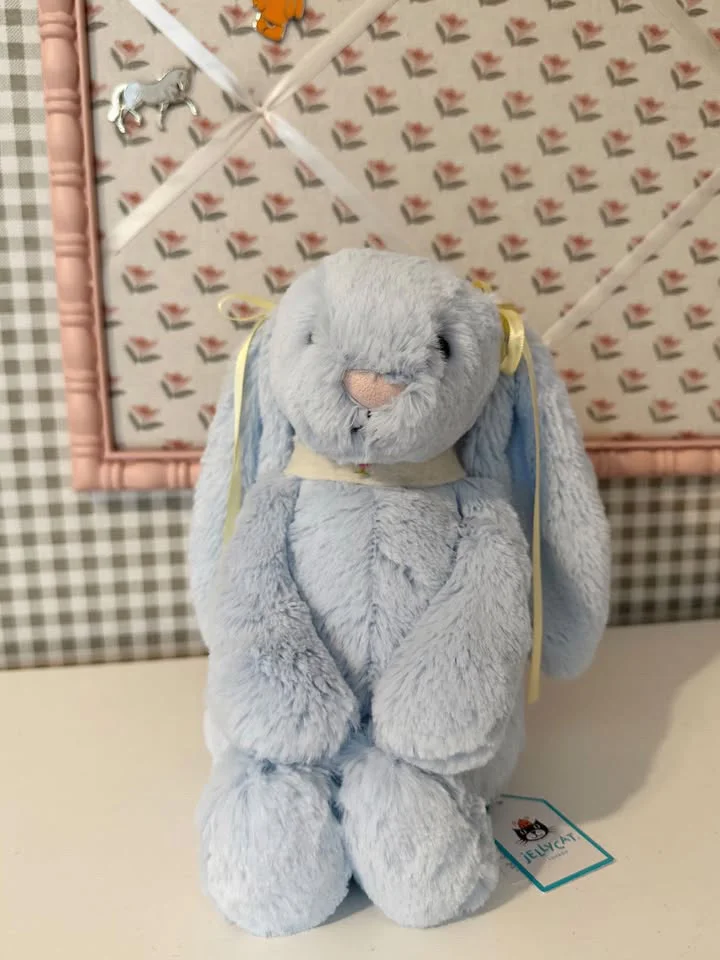 Front - Bashful Blue Bunny - Medium photo by Jellycat_1999