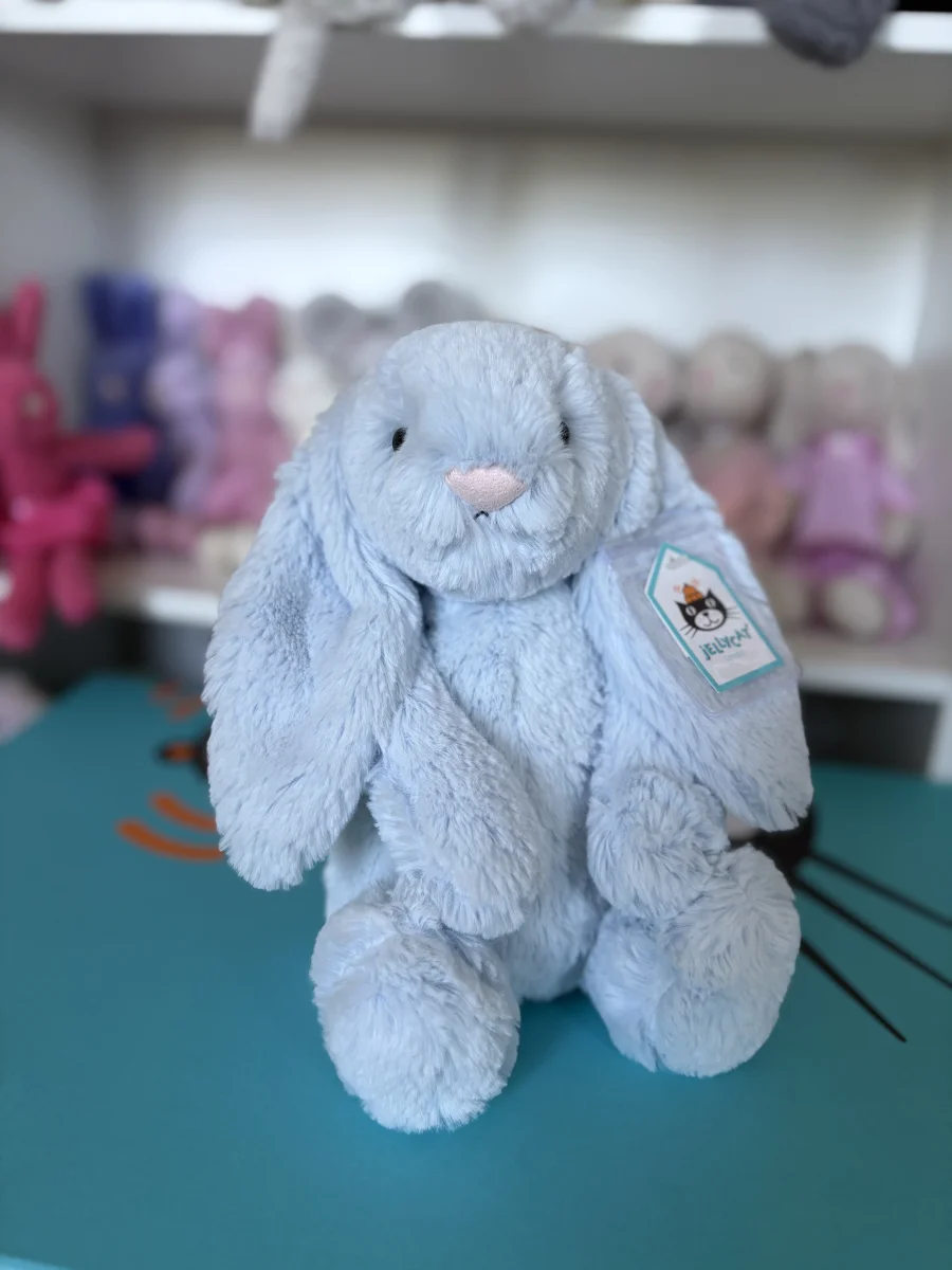 Front - Bashful Blue Bunny - Medium photo by jojokitty