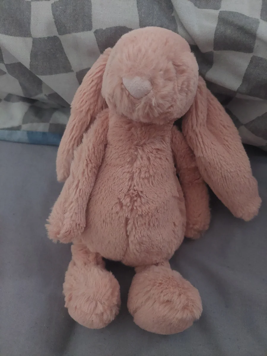 Front - Bashful Blush Bunny - Small photo by Alfielovescars