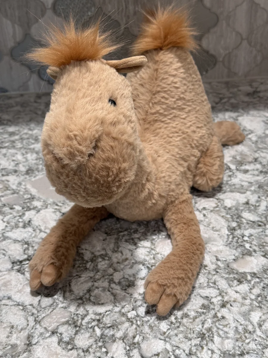 Front - Richie Dromedary photo by SnowLeopard821