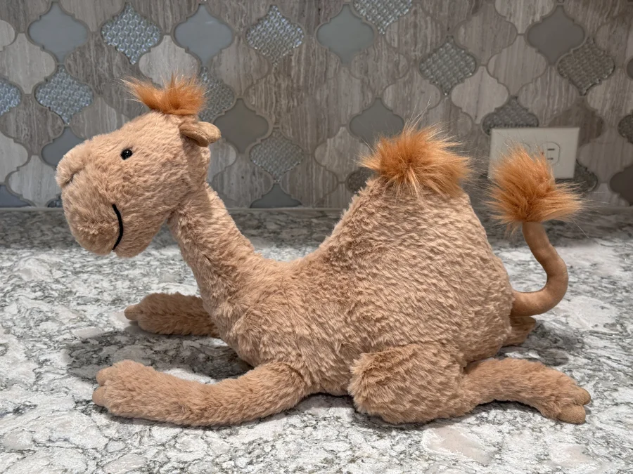 Side - Richie Dromedary photo by SnowLeopard821