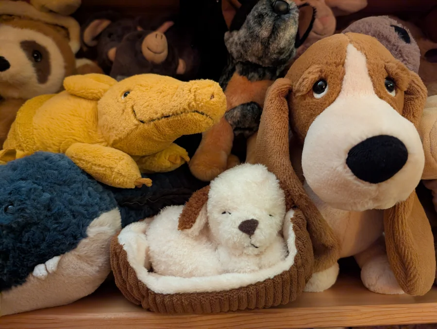 Front - Napping Nipper Dog photo by Mycurrentcollection