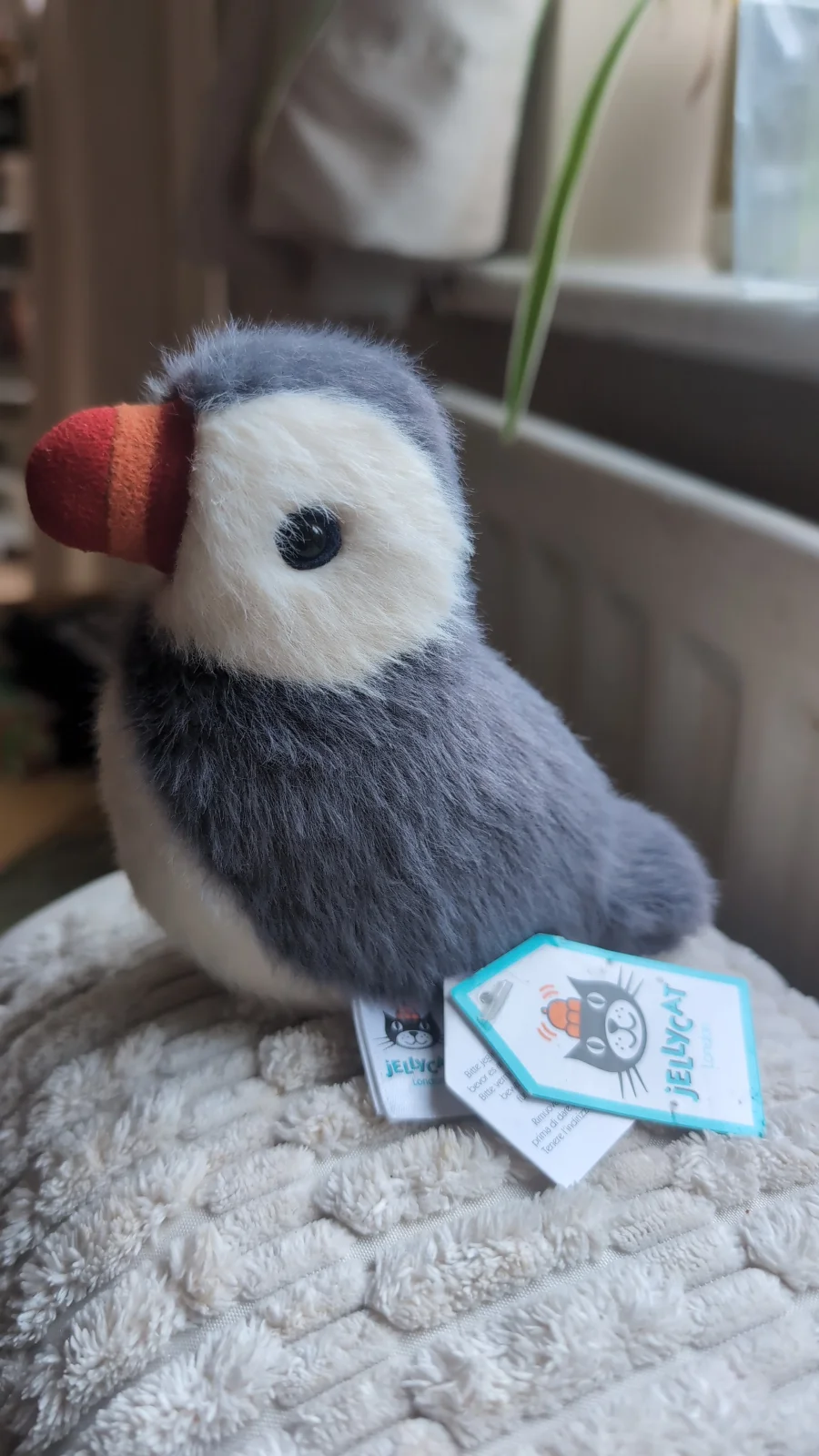Side - Birdling Puffin photo by Robsyevs