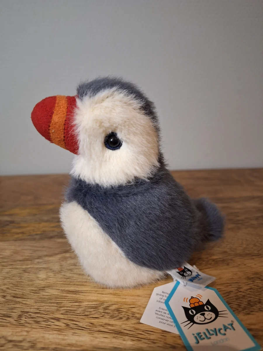 Front - Birdling Puffin photo by Sofie