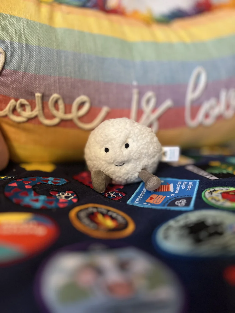 Front - Amuseables Snowball photo by Megan_Daffodil