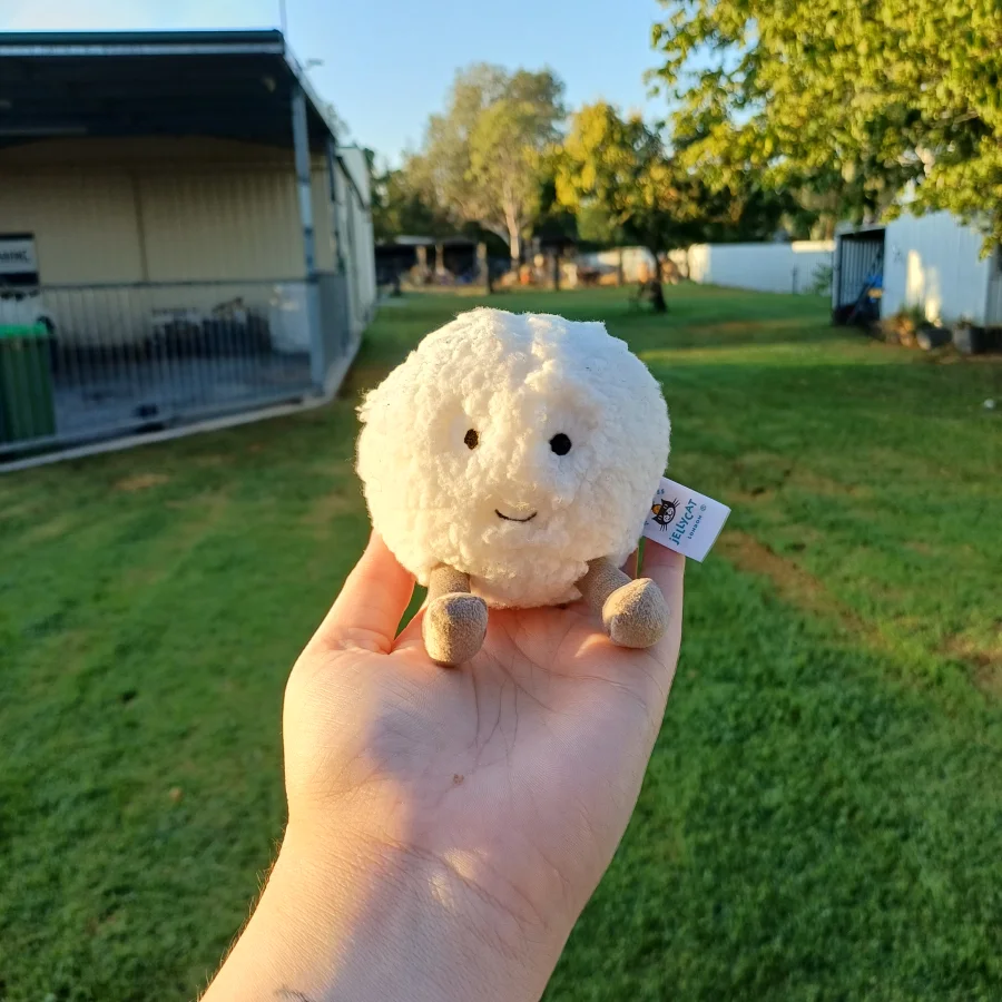 Front - Amuseables Snowball photo by herbgardenplush