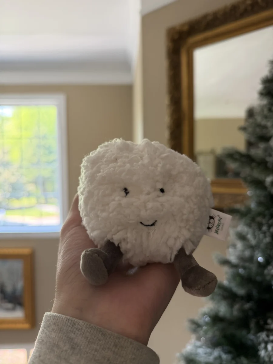 Front - Amuseables Snowball photo by amandamariejelly