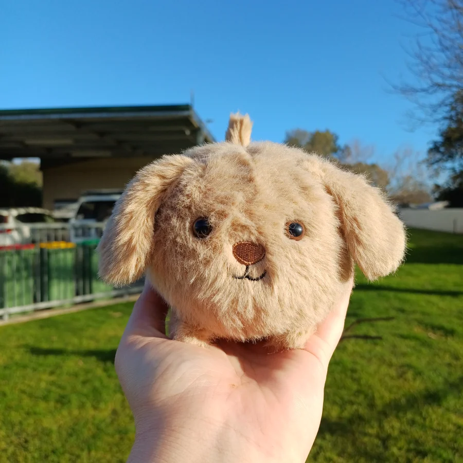 Front - Caboodle Puppy photo by herbgardenplush
