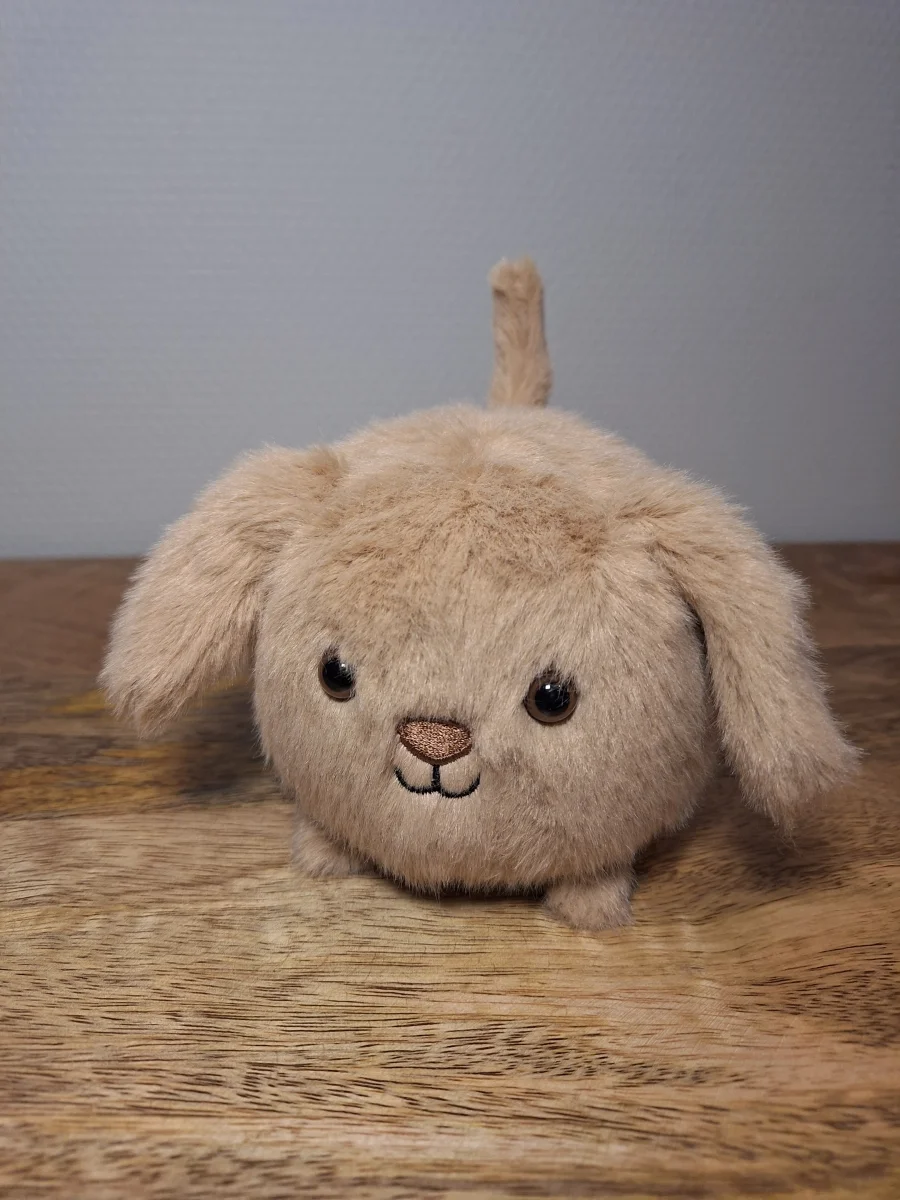 Front - Caboodle Puppy photo by Sofie