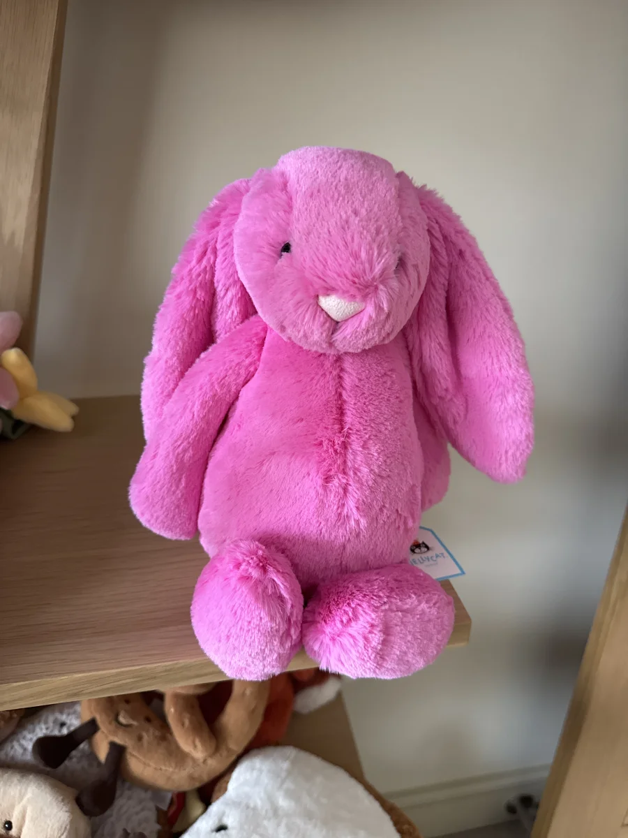 Front - Bashful Hot Pink Bunny - Medium photo by Trace
