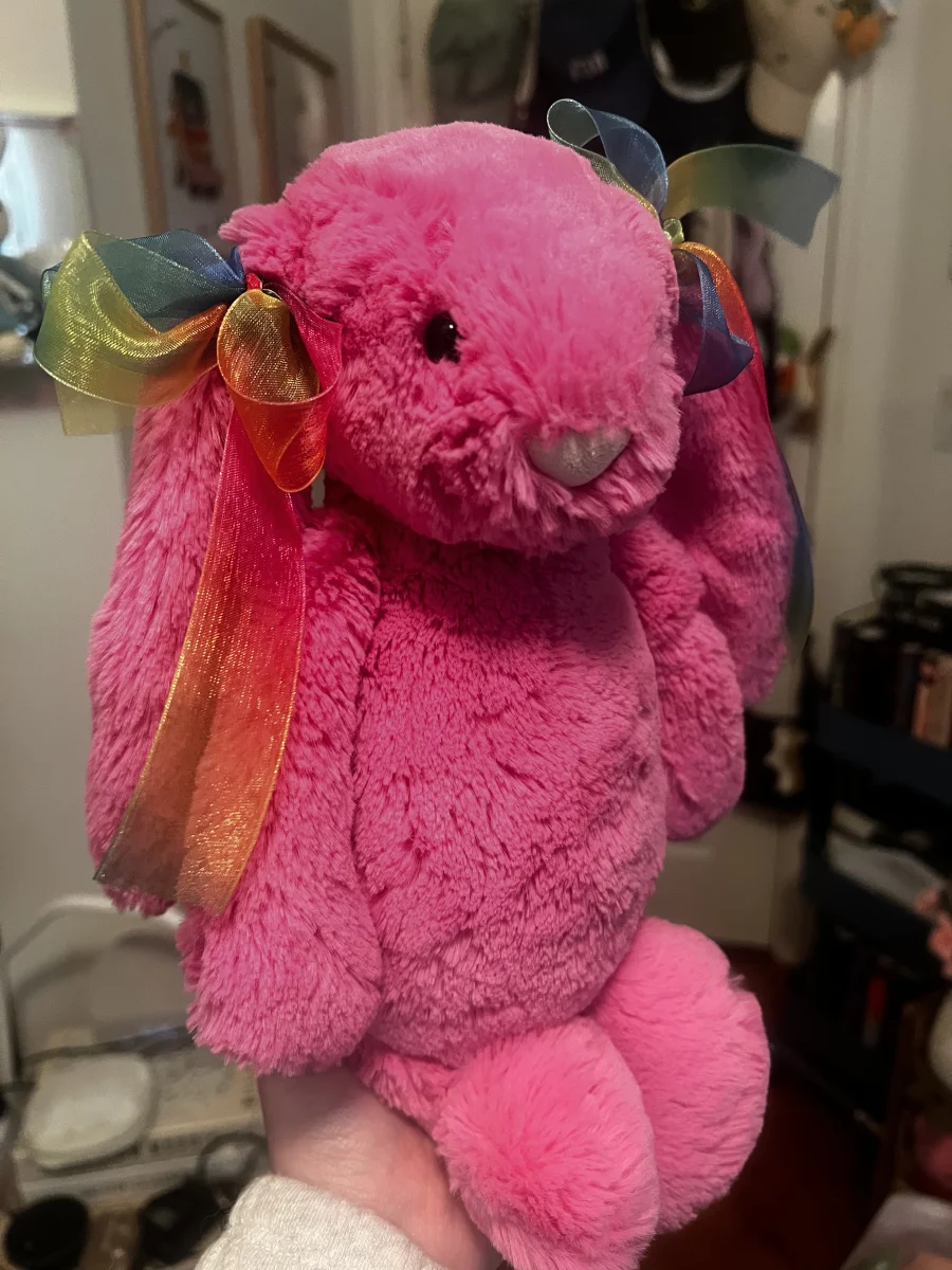Front - Bashful Hot Pink Bunny - Medium photo by BashfulBookstore