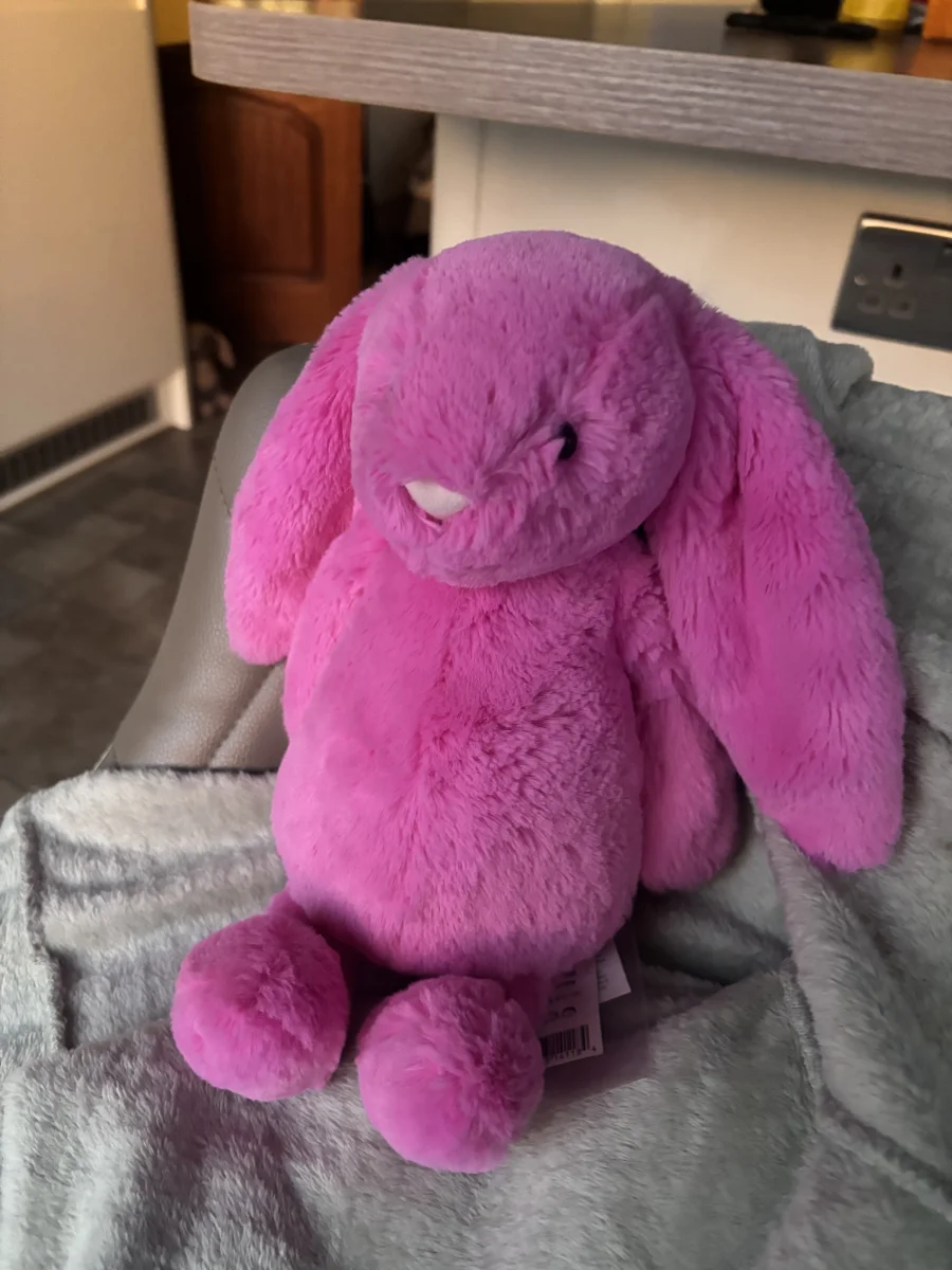 Front - Bashful Hot Pink Bunny - Medium photo by ellyxcats