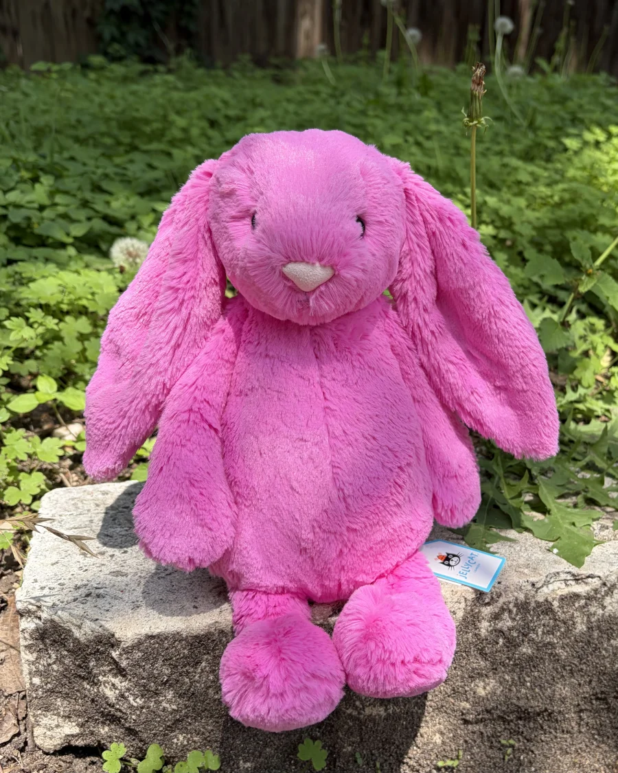 Front - Bashful Hot Pink Bunny - Medium photo by AmberrGolden