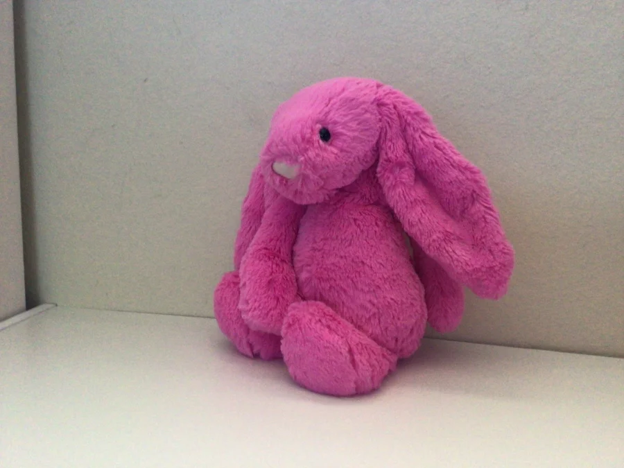 Side - Bashful Hot Pink Bunny - Medium photo by Jewelzyjellycat