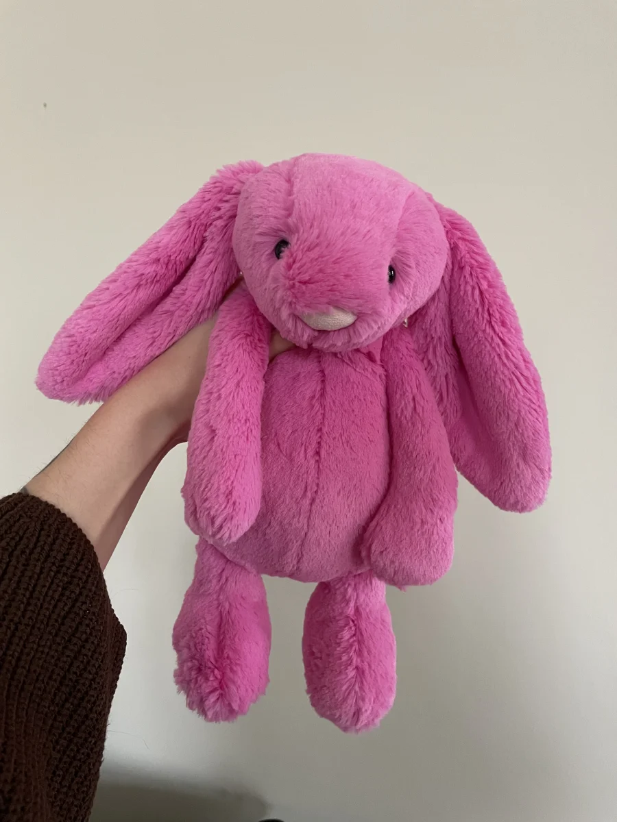 Front - Bashful Hot Pink Bunny - Medium photo by AboutBearsandBunnies