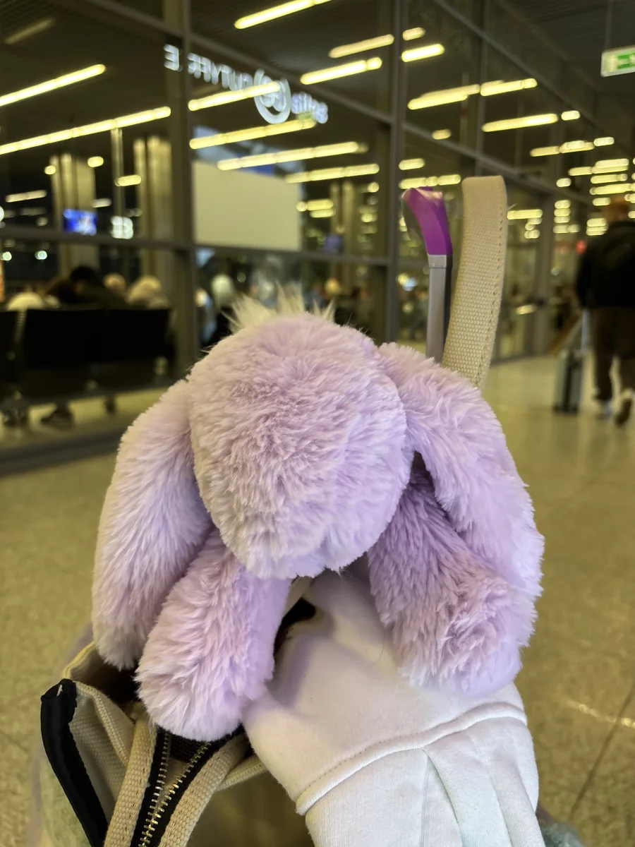 Front - Smudge Lavender Rabbit photo by Chlo_jayde