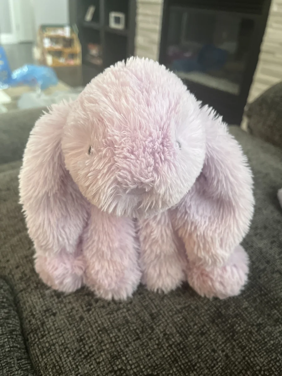Front - Smudge Lavender Rabbit photo by Bailey2012
