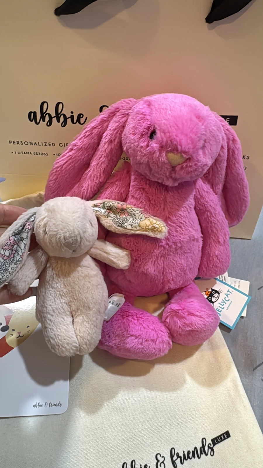 Front - Bashful Hot Pink Bunny - Small photo by Astarieth