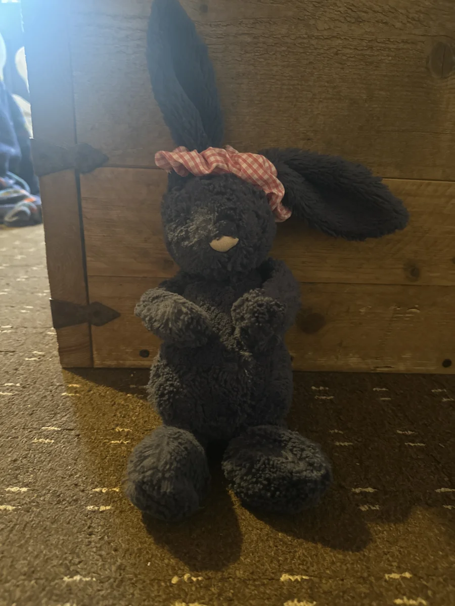 Front - Bashful Navy Bunny - Medium photo by Issylovesjellie