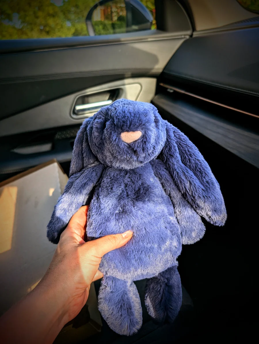 Front - Bashful Navy Bunny - Medium photo by Jelly_shebear