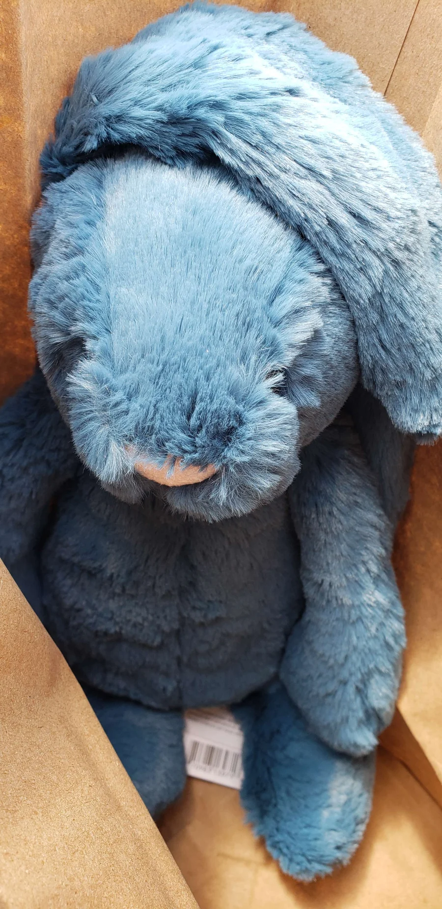 Front - Bashful Mineral Blue Bunny - Medium photo by GatchamanReborn