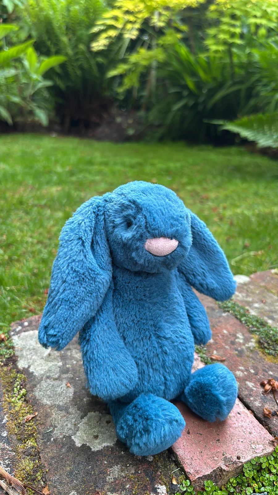 Front - Bashful Mineral Blue Bunny - Small photo by Jelly_Journey