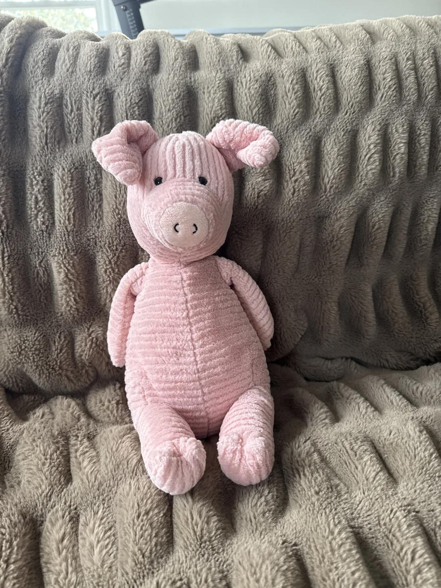Front - Quaxy Pig photo by Hadleyjellycat